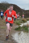 Click on thumbnail for larger photo